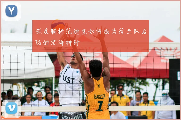 深度解析范迪克如何成为荷兰队后防的定海神针