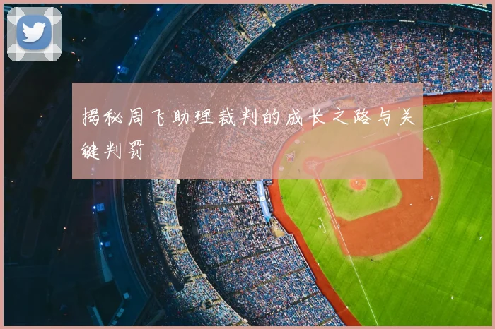 揭秘周飞助理裁判的成长之路与关键判罚